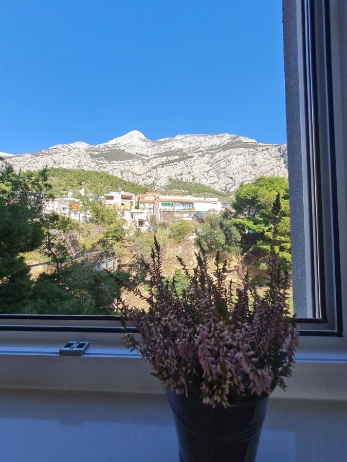 Pivac * Makarska